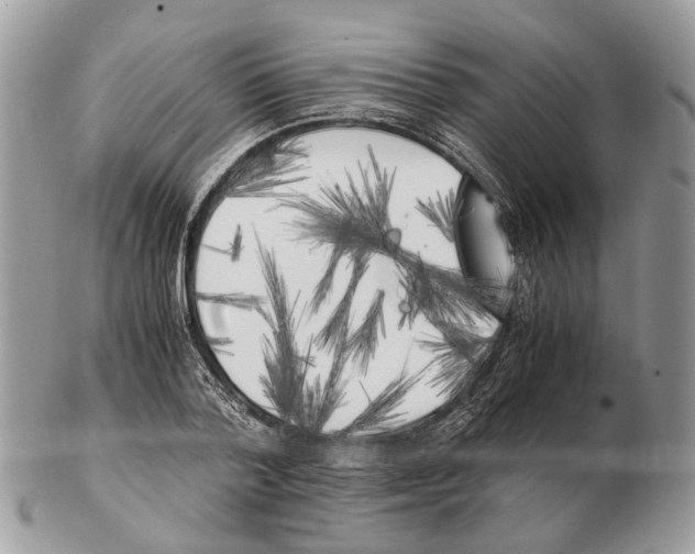 X0000102470788200809051332
