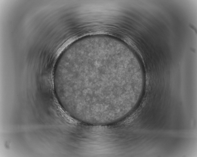 X0000102470789200809051332