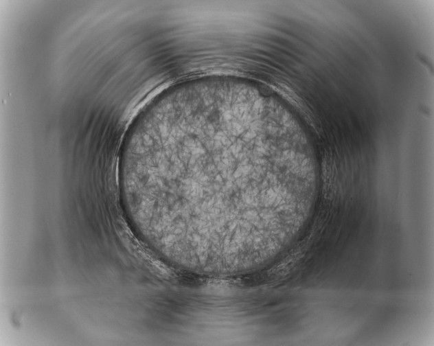 X0000102470790200809051332