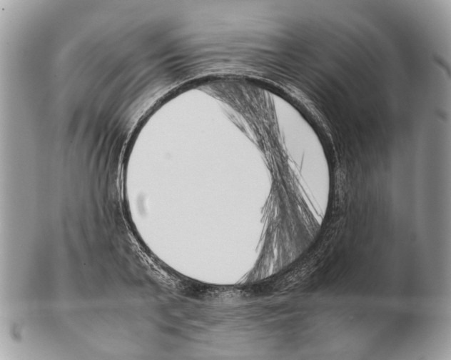 X0000102470791200809051332