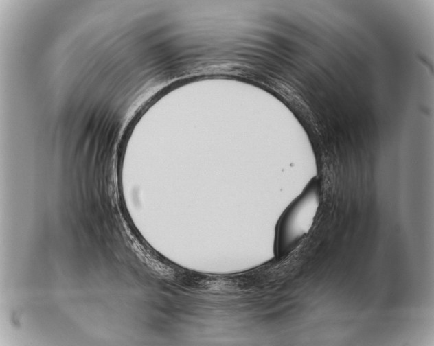 X0000102470792200809051332
