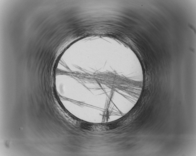 X0000102470795200809051332