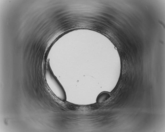 X0000102470796200809051332
