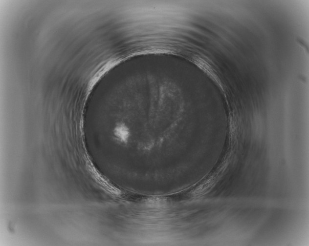 X0000102470797200809051332