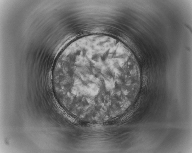 X0000102470798200809051332