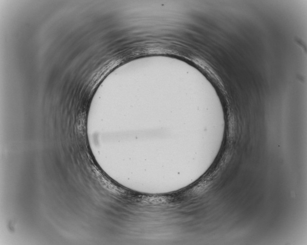 X0000102470801200809051332