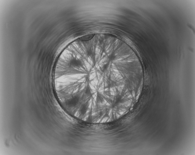 X0000102470803200809051332