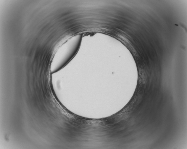 X0000102470804200809051332