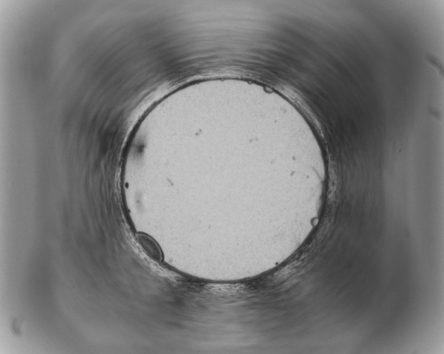 X0000102470805200809051332