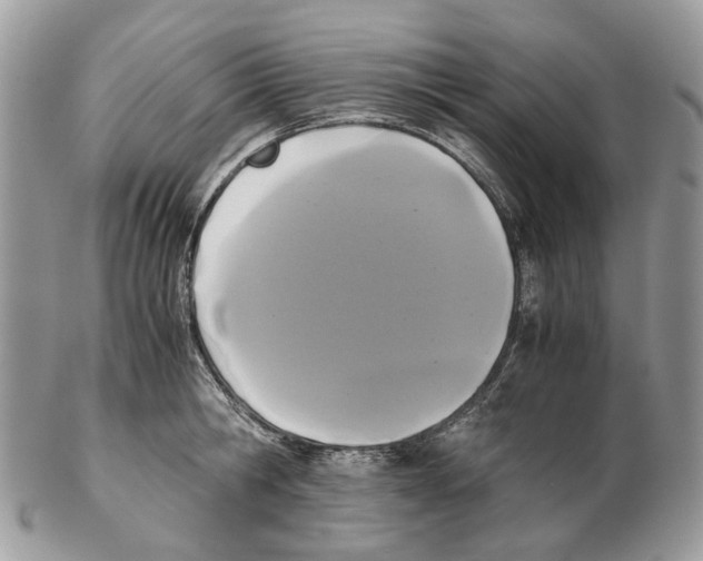 X0000102470806200809051332