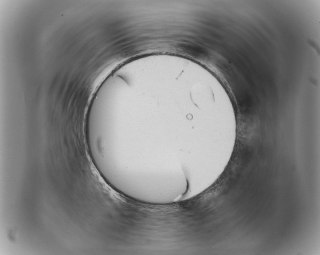 X0000102470807200809051332
