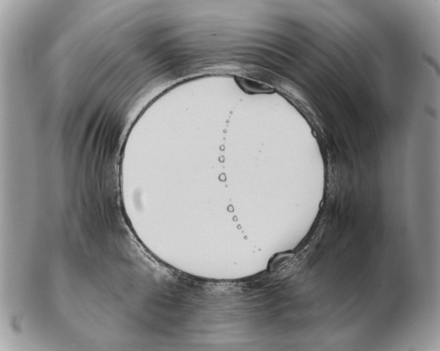X0000102470808200809051332