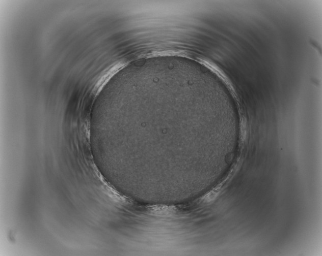 X0000102470809200809051332