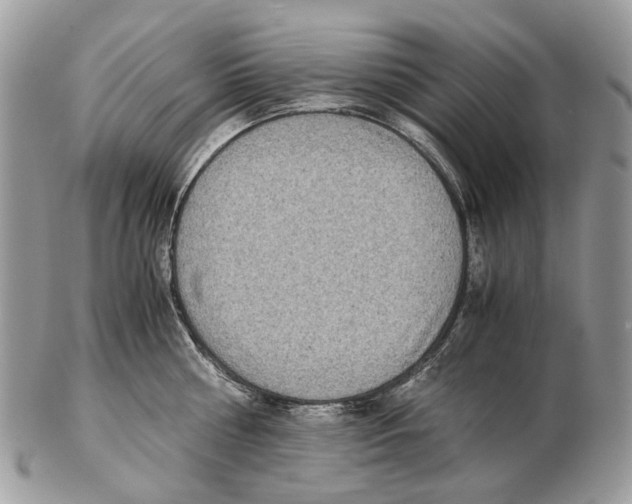 X0000102470810200809051332