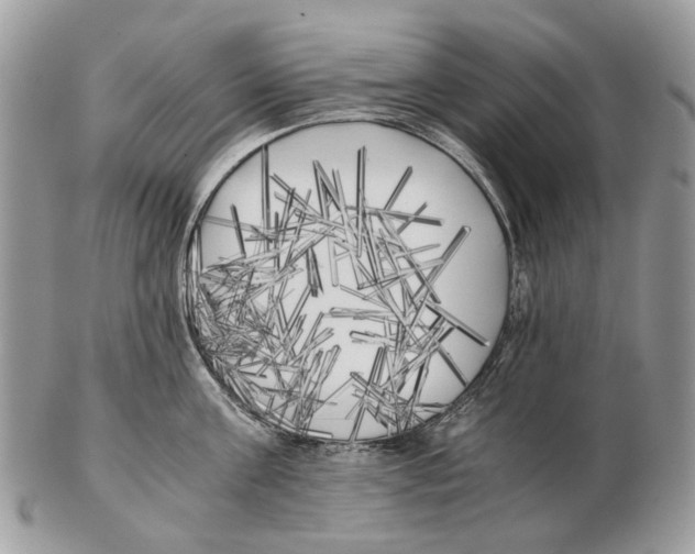 X0000102470811200809051332