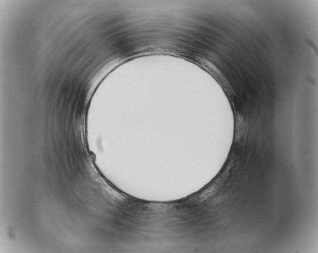 X0000102470812200809051332