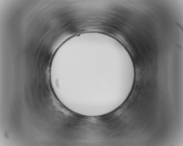 X0000102470814200809051332