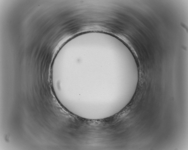 X0000102470815200809051331