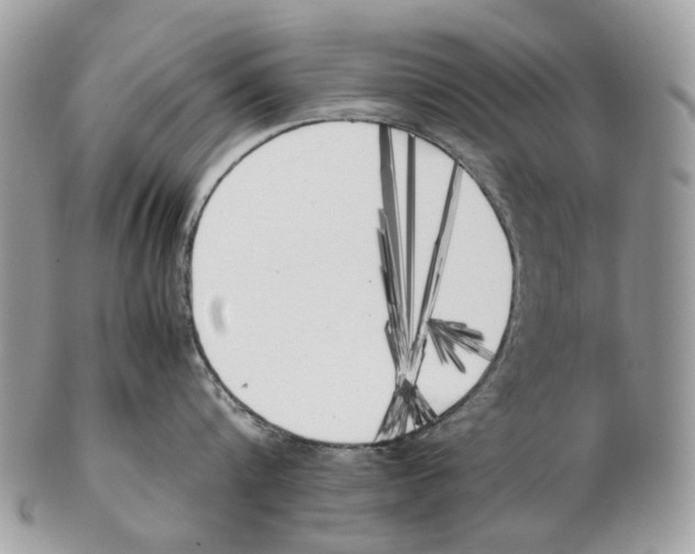 X0000102470816200809051331