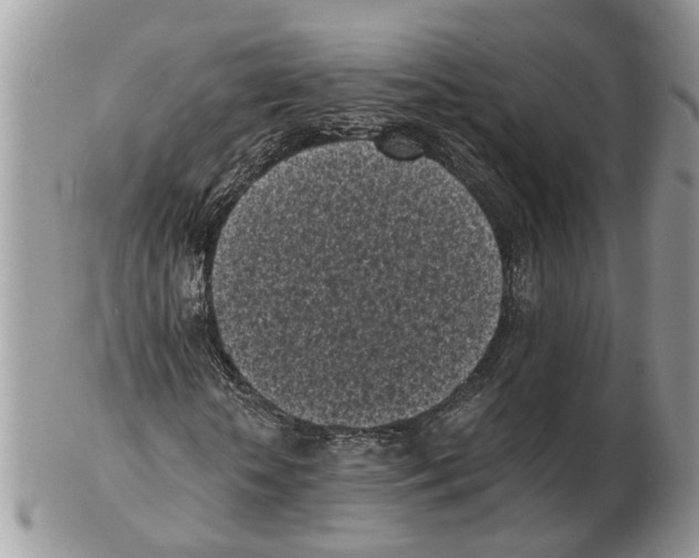 X0000102470818200809051331