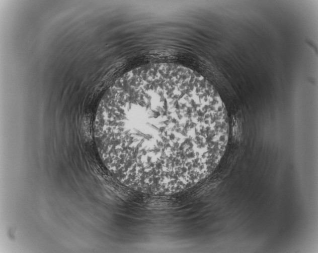 X0000102470819200809051331