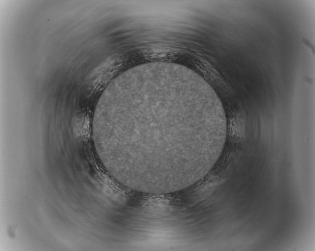 X0000102470820200809051331