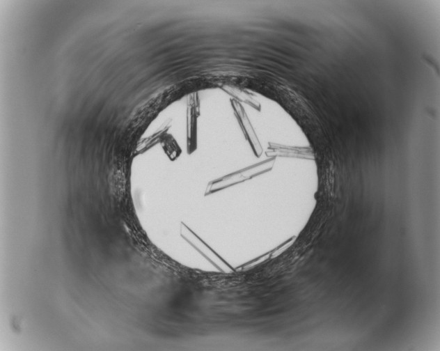 X0000102470821200809051331
