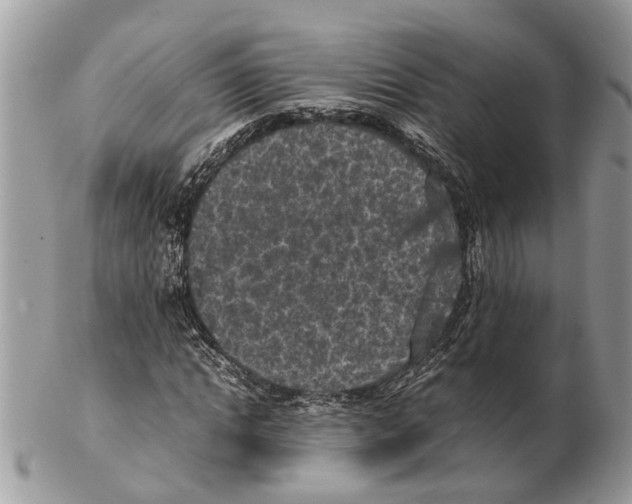 X0000102470822200809051331
