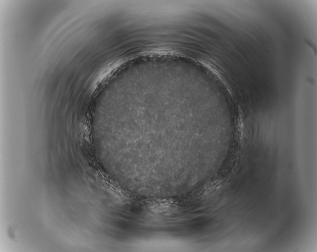 X0000102470823200809051331