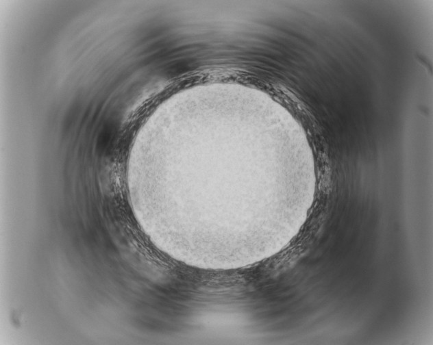 X0000102470824200809051331