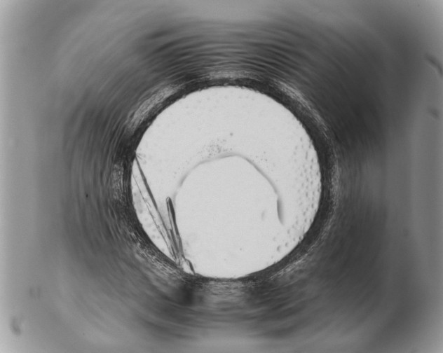 X0000102470825200809051331