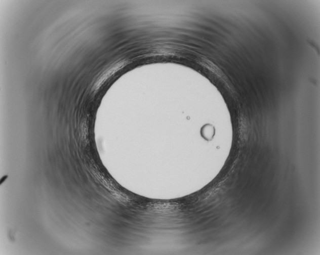 X0000102470826200809051331