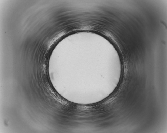 X0000102470827200809051331
