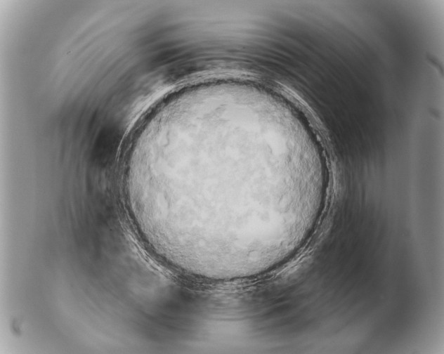 X0000102470828200809051331
