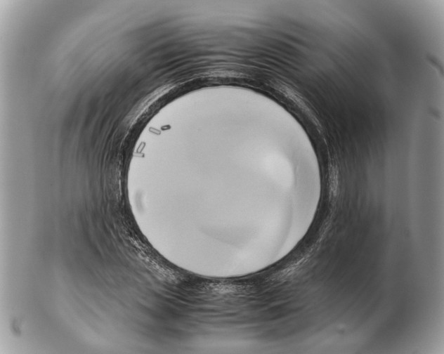 X0000102470829200809051331