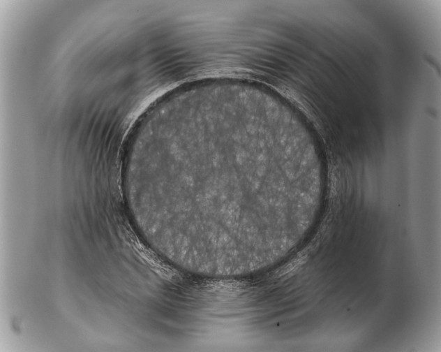 X0000102470830200809051331