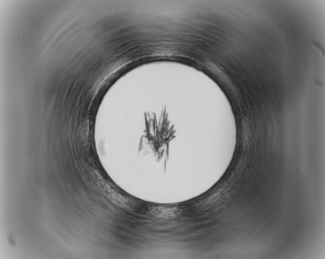X0000102470831200809051331