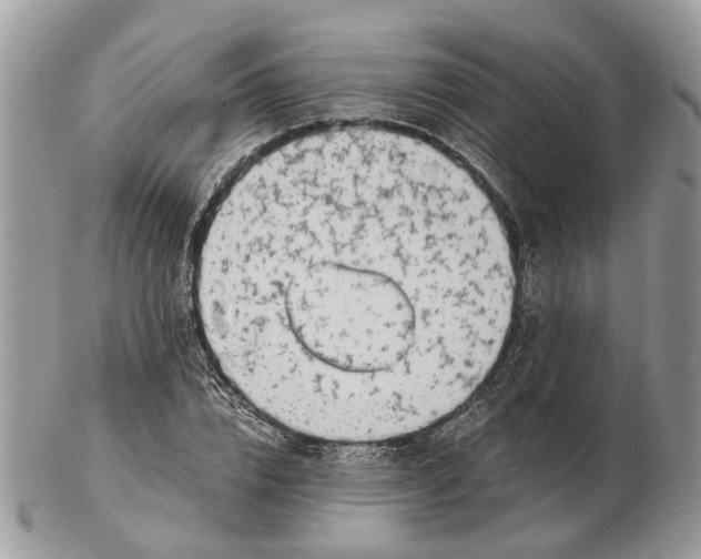 X0000102470832200809051331