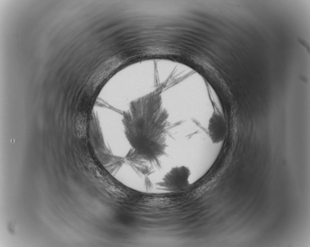 X0000102470833200809051331