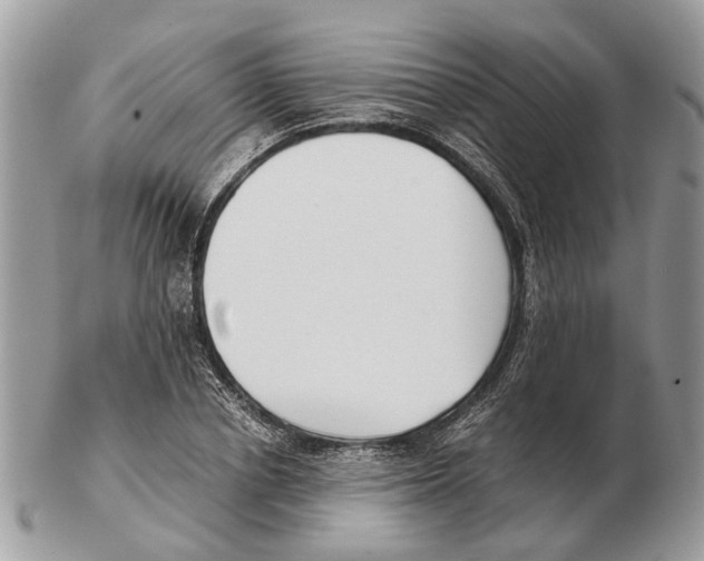 X0000102470834200809051331
