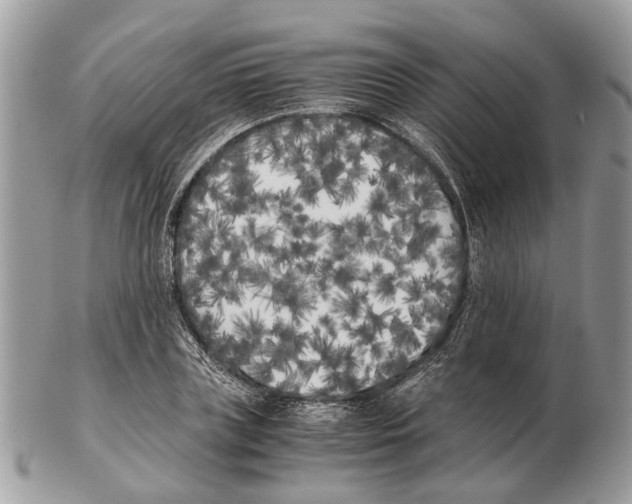X0000102470835200809051331