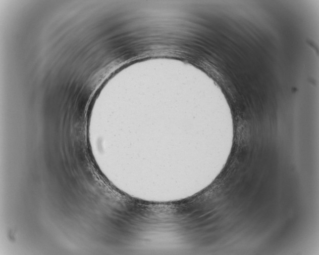 X0000102470836200809051331