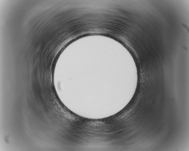 X0000102470837200809051331