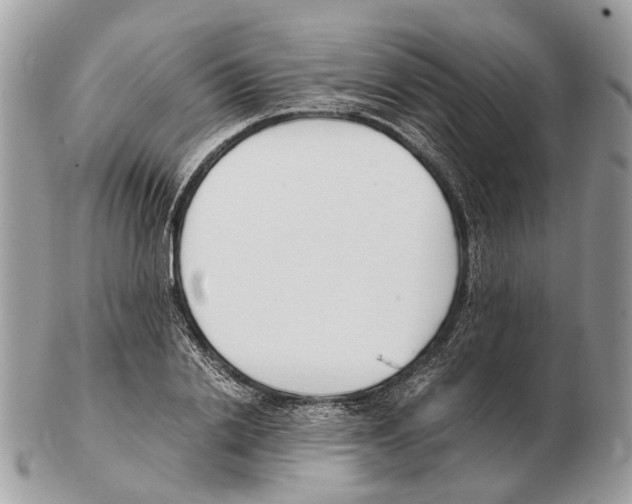 X0000102470838200809051331