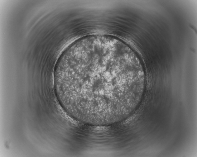 X0000102470839200809051331