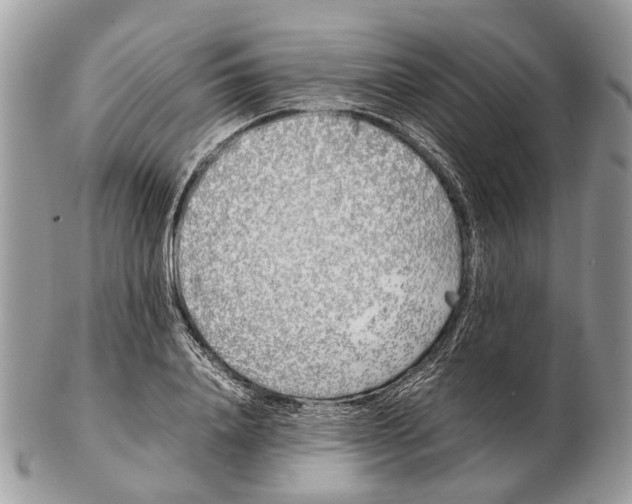 X0000102470840200809051331