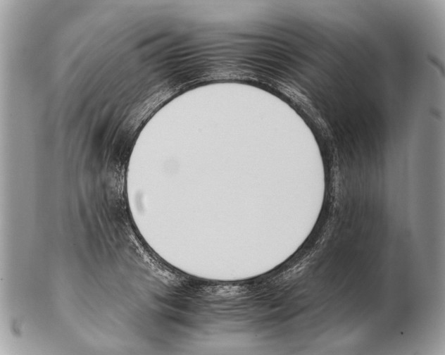 X0000102470841200809051331
