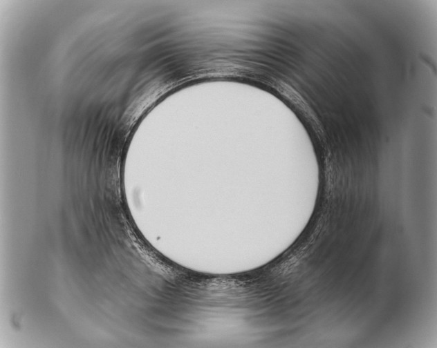 X0000102470842200809051331