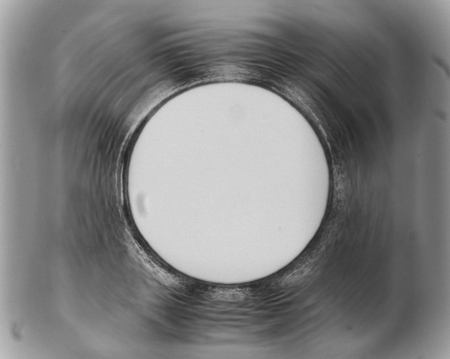X0000102470843200809051331