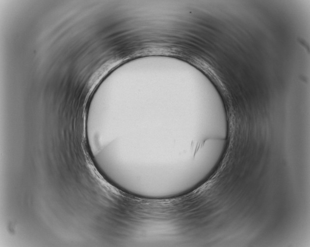 X0000102470844200809051331